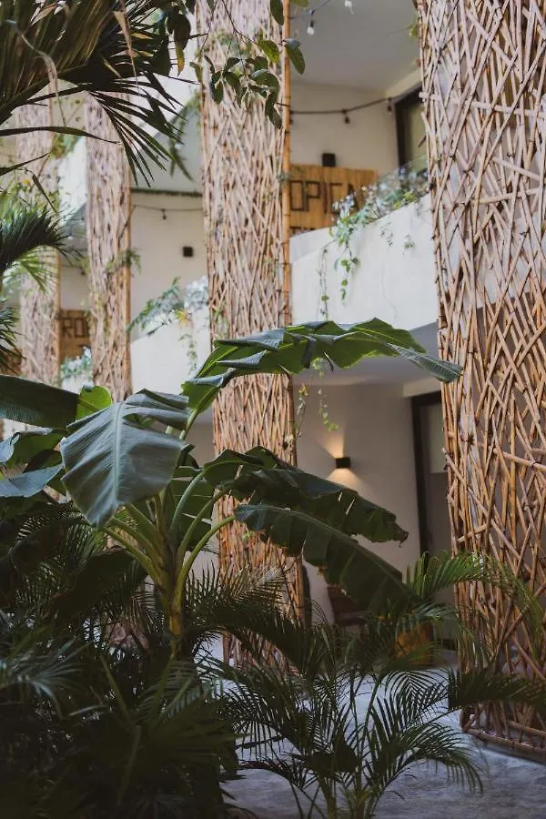 Apartamento Jade Tulum